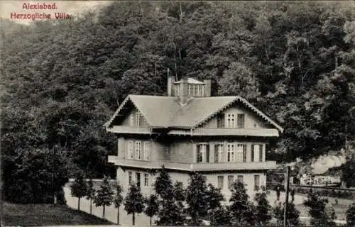 Ak Alexisbad Harzgerode am Harz, Herzogliche Villa, Waldlandschaft, historische Architektur