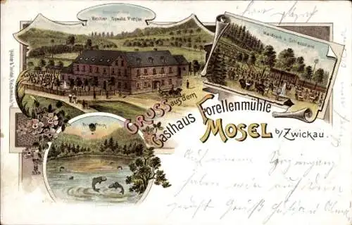 Ak Zwickau in Sachsen, Vorderseite: Gasthaus Forellenmühle, Landschaft, Wasser, Bäume, Gebäude