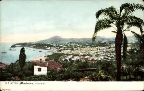 Ak Funchal Insel Madeira Portugal, Blick auf Funchal, Küstenlandschaft, Schiffe, Palmen, Häuser