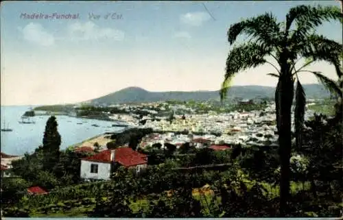 Ak Funchal Insel Madeira Portugal, Hafenblick, Häuser, Palmen, Berge, Postkarte aus Madeira