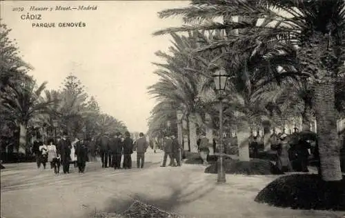 Ak Cádiz Andalusien, Spaziergänger im Park, Palmen, Laternen, historischer Stil