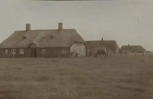 Original Foto Westerland auf Sylt, Bauernhäuser, um 1900