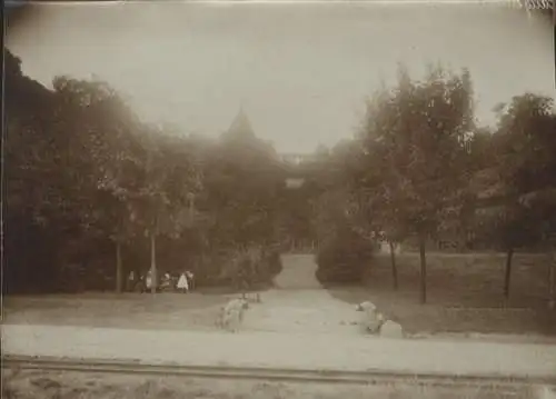 Original Foto Tangermünde in Sachsen-Anhalt, Parkanlage, um 1900