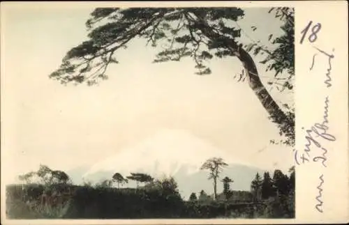 Ak Japan, Fuji, Bergspitze, Baum