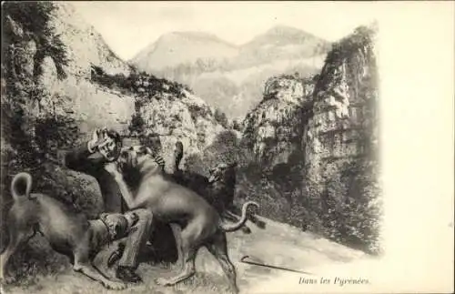 Ak Hunde greifen einen Mann an, Gebirge, Pyrenäen