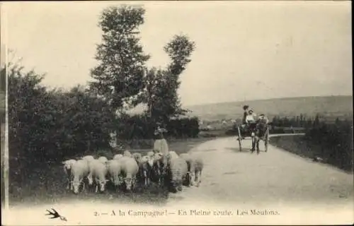 CPA A la Campagne, En Pleine coute, Les Moutons