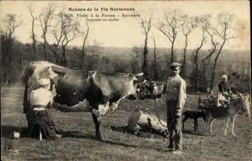 CPA Scènes de la Vie Normande, Visite à la Ferme, Servante trayant sa vache