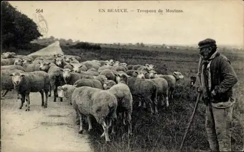 Ak En Beauce Eure et Loir, Ein Schäfer mit einer Herde Schafe auf einer Landstraße.