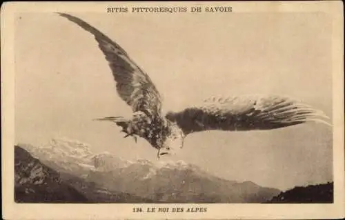 CPA Savoie, Le Roi des Alpes, Adler