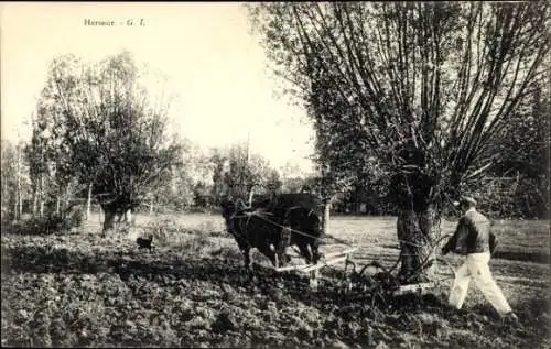 Ak Bauer pflügt Feld