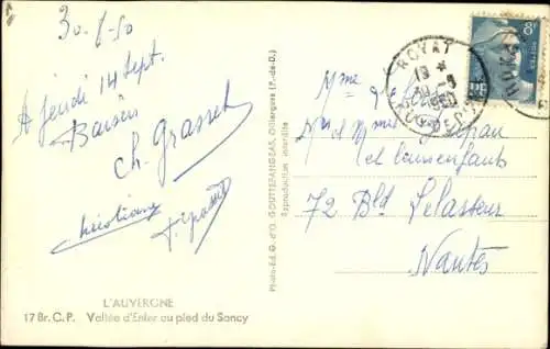 Ak Kühe auf der Weide