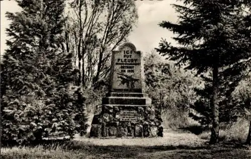 Ak Verdun Meuse, Denkmal