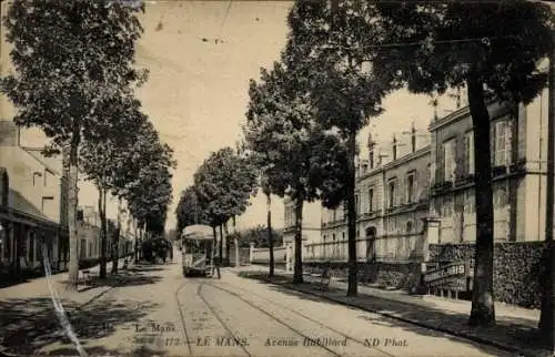 Ak Le Mans Sarthe, Straßenansicht mit Bäumen und einer Straßenbahn.