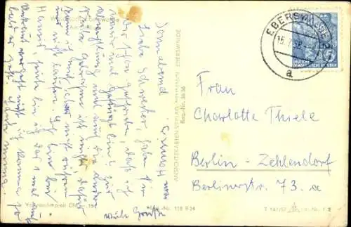 Ak Eberswalde in der Mark, See, Baum, Ufer