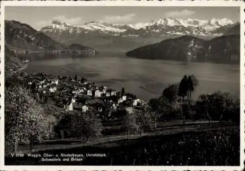 Ak Weggis Kt Luzern Schweiz, Panorama