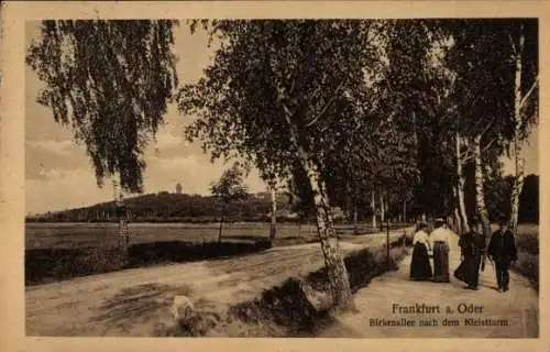 Ak Frankfurt an der Oder, Frankfurt a. Oder, Birkensallee, Kleistturm, Landschaft, Menschen