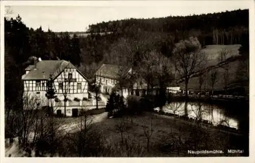 Ak Eisenberg in Thüringen, Mühltal, Naupoldsmühle