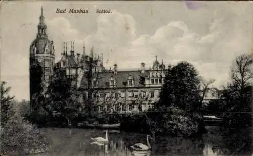 Ak Bad Muskau in der Oberlausitz, Schloss  2 Schwäne im Wasser, Aussicht auf das Schloss