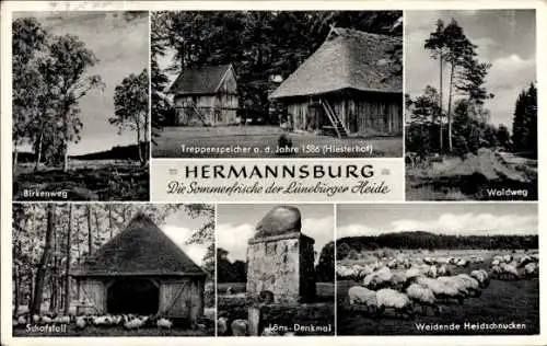 Ak Hermannsburg in der Lüneburger Heide, Treppenspeicher, Birkenweg, Waldweg, Schafstall, Löns...