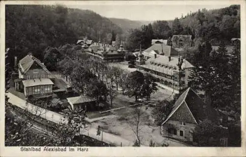 Ak Alexisbad Harzgerode am Harz, Landschaftsbild, Stahlbad, Gebäude, Bäume, Berge