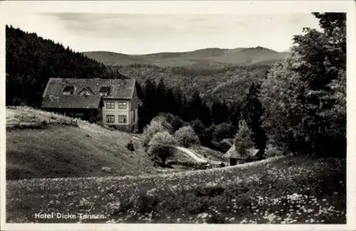 Ak Hohegeiß Braunlage im Oberharz, Hotel Dicke Tannen, Wald