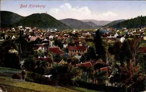 Ak Bad Harzburg am Harz,  malerische Landschaft, Häuser, Berge, Stadtansicht