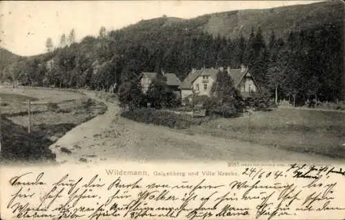 Ak Wildemann Clausthal Zellerfeld im Oberharz,  Galgenberg, Villa Kracke, Postkarte aus 1904