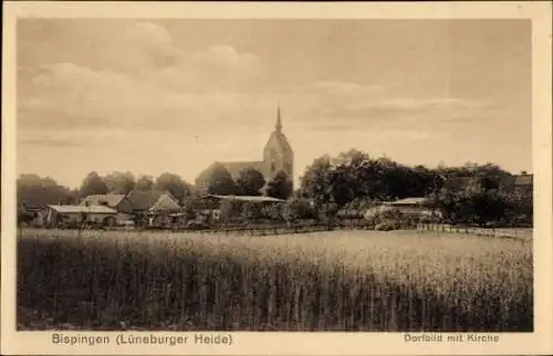 Ak Bispingen in der Lüneburger Heide, Dorfbild mit Kirche, Landschaft mit Feldern, historische...