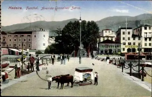 Ak Funchal Insel Madeira Portugal, Postkarte aus Funchal, Avenida Gonsalves Zarco, Stadtansicht