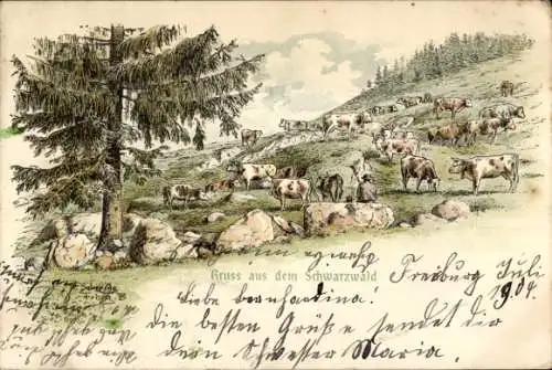 Litho Schwarzwald, Landschaft, Kühe auf einer Weide