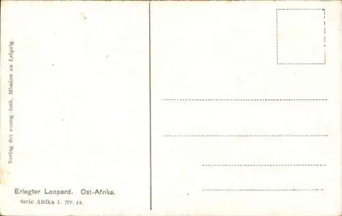 Ak Erlegter Leopard, Ost Afrika, Zwei Jäger, Kolonialzeit