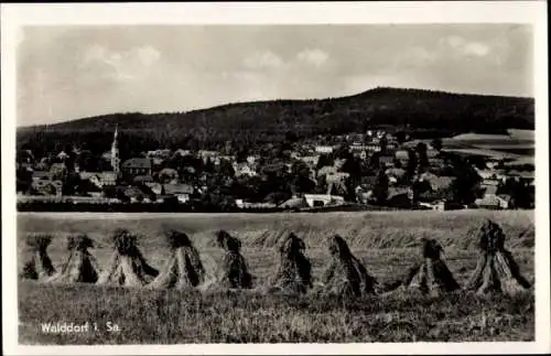 Ak Walddorf Kottmar in der Oberlausitz, Blick auf den Ort mit Umgebung