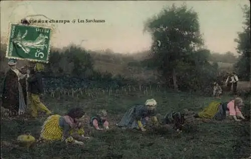 CPA La vie aux champs, Les Sarcleuses