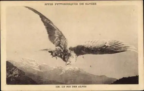 CPA Savoie, Un aigle, le Roi des Alpes