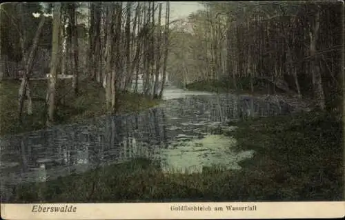 Ak Eberswalde in der Mark, Goldfischteich, Wasserfall