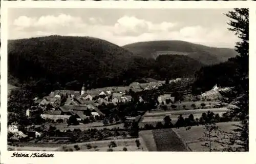 Ak Steina Bad Sachsa im Harz, Gesamtansicht