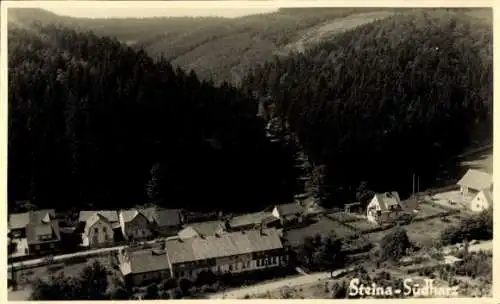 Ak Steina Bad Sachsa im Harz, Teilansicht, Wald