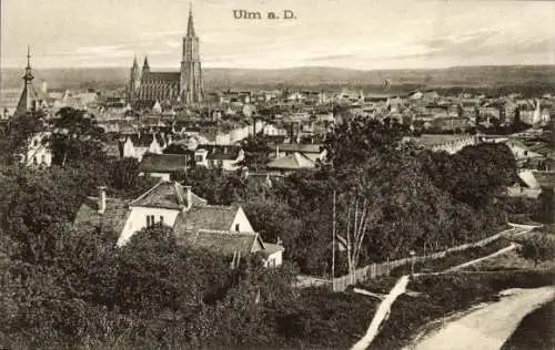 Ak Ulm an der Donau, Stadtansicht, Ulmer Münster, historische Architektur, grüne Bäume