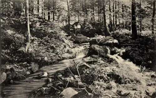 Ak Klause Meschede im Sauerland, Naturaufnahme, Fluss, Wald, Menschen, Schwarz-Weiß