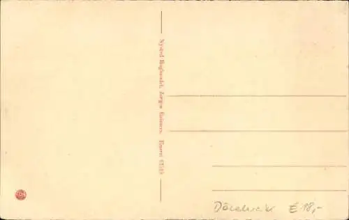 Ak Nysted Guldborgsund Dänemark, Adelgade, Geschäfte