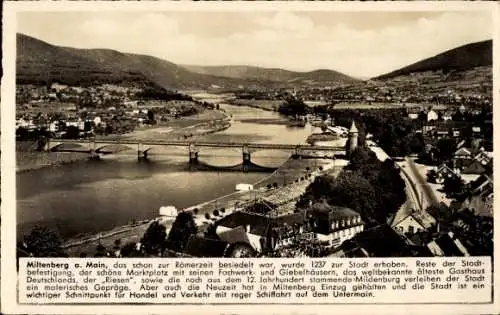 Ak Miltenberg am Main Unterfranken, Panorama