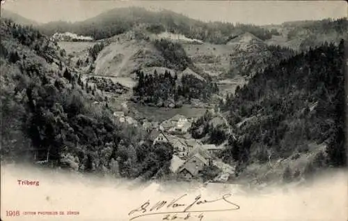 Ak Triberg im Schwarzwald, Berglandschaft, kleine Häuser, Wald, historische Postkarte, 1916