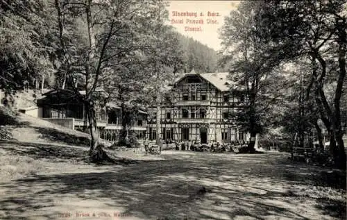 Ak Ilsenburg am Nordharz, Blick auf Hotel Prinzess Ilse, Gruppenbild