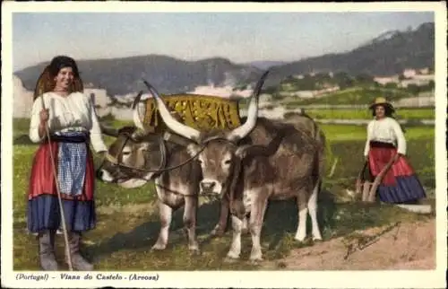 Ak Viana do Castelo Portugal, Frauen in traditionellen Kleidern, zwei Ochsen, ländliche Landsc...