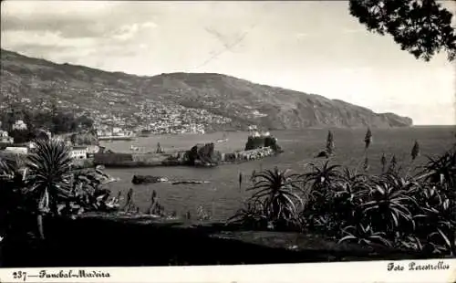 Ak Funchal Insel Madeira Portugal, Blick auf die Küste