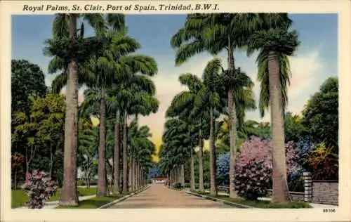 Ak Port of Spain Trinidad, Royal Palms, St. Clair