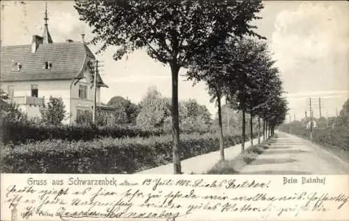 Ak Schwarzenbek in Lauenburg, Ein Blick auf den Bahnhof, Bäume, Straße, Gebäude, historische P...