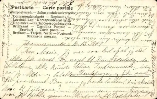 Ak Jagdhund, Gewehr, Jagd