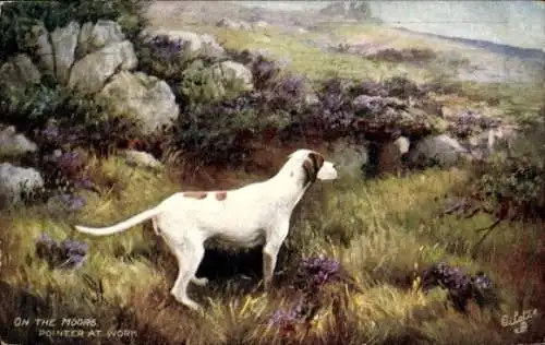 Künstler Ak On the Moors, Pointer at Work, Jagdhund