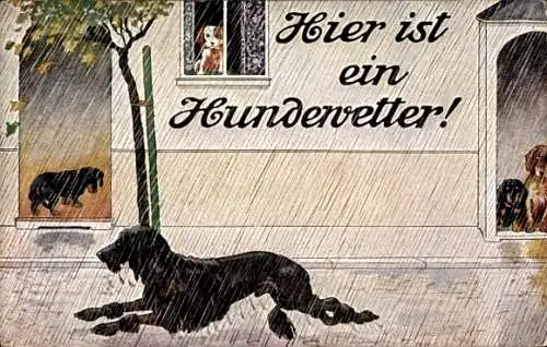 Künstler Ak Hier ist ein Hundewetter, Hunde im Regen, Dackel